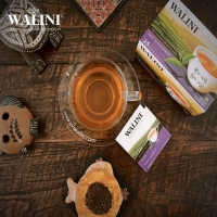 Teh Walini Blackcurrrant Classic Envelope