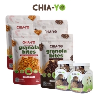 Chiayo Package : 2 Energy Ball Regular + 4 Granola Bites #DiRumaAja