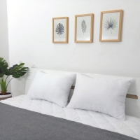 Bantal D’luxe Microfiber uk. 45x65 cm - Kintakun