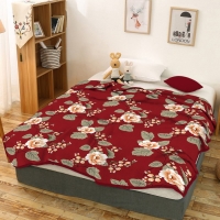 Kintakun Selimut Flannel 160x200 Polyester Anti Alergi - Aini