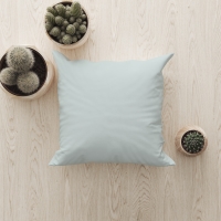 Kintakun Home Cushion Bantal Sofa - 50 x 50, Spa Blue