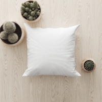 Kintakun Home Cushion Bantal Sofa - White